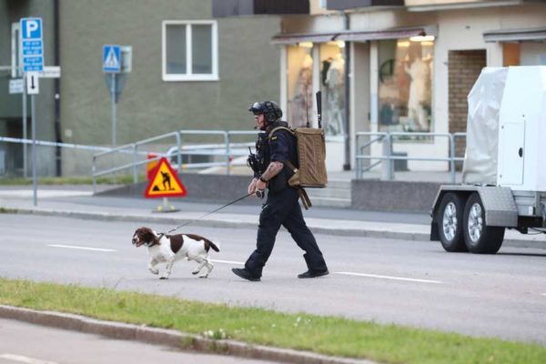 Paddy i Linköping