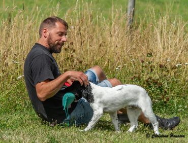 Akrobatik lönar sig....
