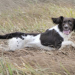 C S Browning aka Puskas