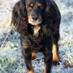 FTW Funny Coloured Allsort