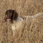 Becca eller C S Nadine