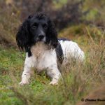 C S Extraordinary aka Exa