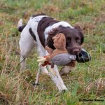 C S Glorious aka Tess