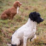 Exas vackra dotter Smashing