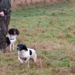 Frestande apportering