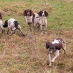 Men - skulle vi inte sitta kvar?