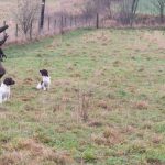 Stadgeträning påbörjad