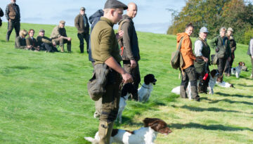 kennella?ger spaniel 2019 1-27
