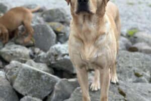 502473092_24297118059896225_5353199322780202540_n