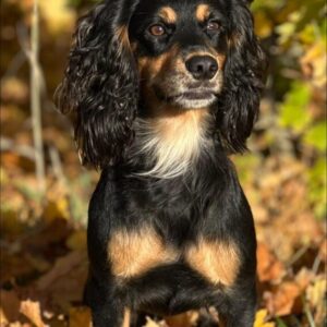 566225657_1125549959780057_749655451655381670_n 566225657_1125549959780057_749655451655381670_n