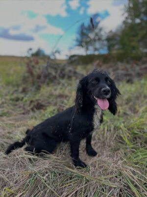 580109515_18387398500182706_8401418645049245699_n 580109515_18387398500182706_8401418645049245699_n