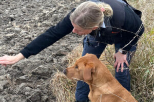 CS_kennellager_2025_dag2_016