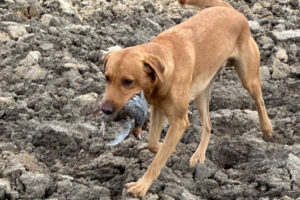 CS_kennellager_2025_dag2_021