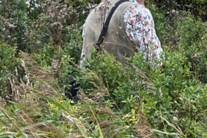 CS_kennellager_2025_dag2_026