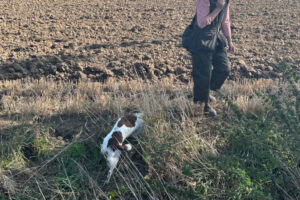 CS_kennellager_2025_dag2_037