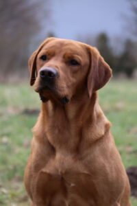 R_IMG_9358