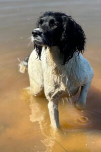 Country Sports Expectation - Ila