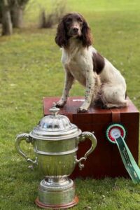 GBFTCH Rosebay Blue "Tyson"