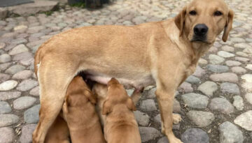 bild2