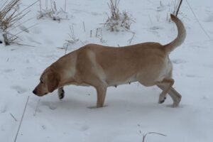 IMG_8216