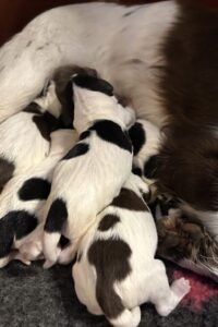 abby_max_2026_2 abby_max_2026_2